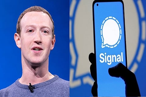 mark