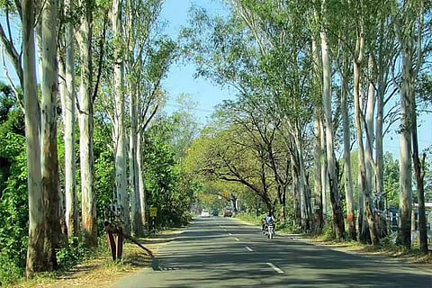 nilagiri