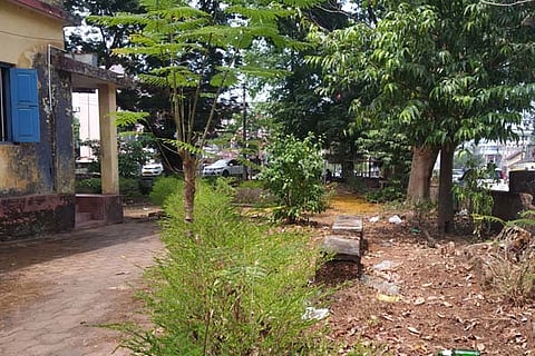park