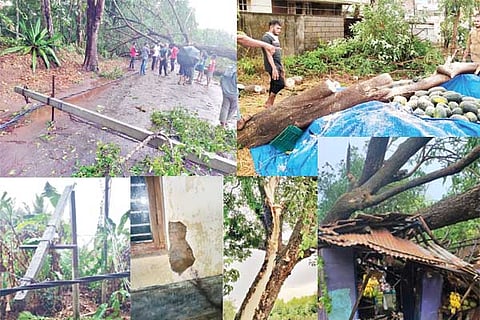 rain damage