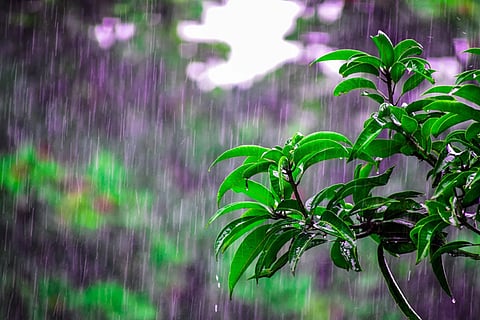 rain