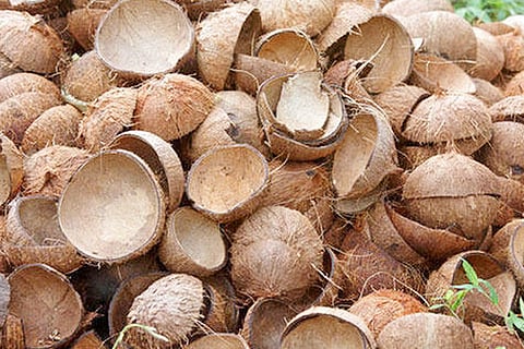 raw-coconut-shell-500x500
