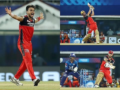 rcb and mumbai for web