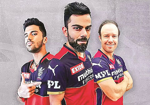 rcb fo rweb