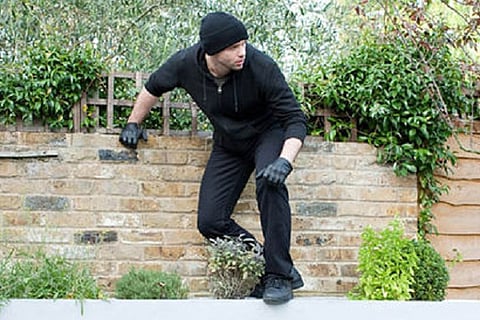 thief-554067