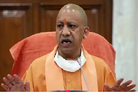 yogi