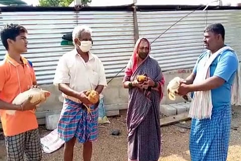 ಕೋಳಿ