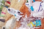 10 pvgd photo 03