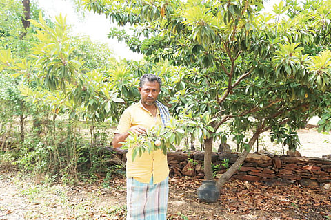 29MDG1 B LINGASHETTAR KRUSHI