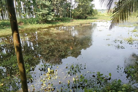 Agriculture land