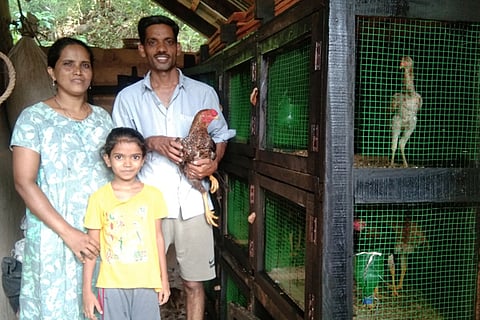 Chiken story ull