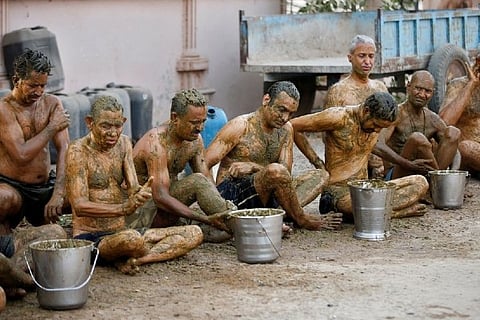 Cow Dung