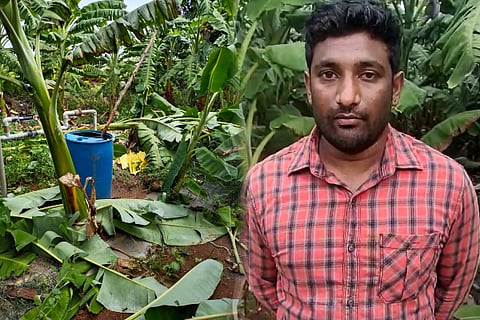 Farmer