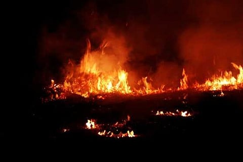 Fire