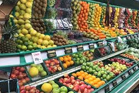 Fruits