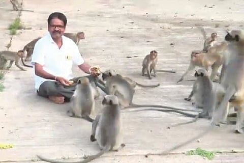 Gokak Story