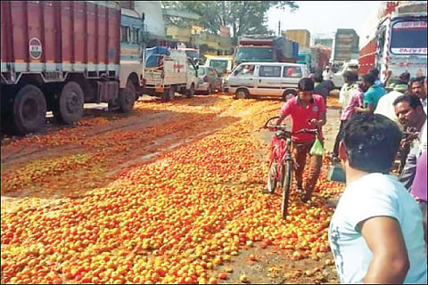 Vegitables