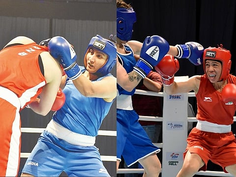 boxing web