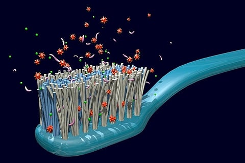 brush