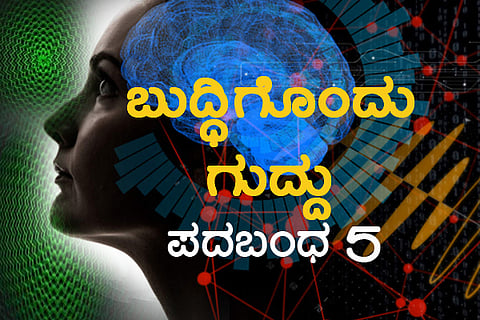 buddhigondu-pada 5