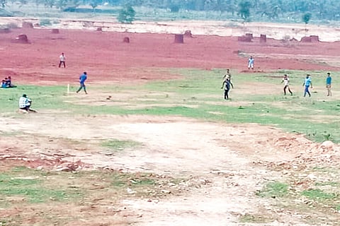 cricket