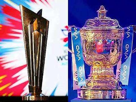 ipl wc web
