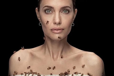 jolie
