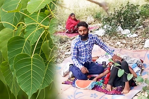 people tree