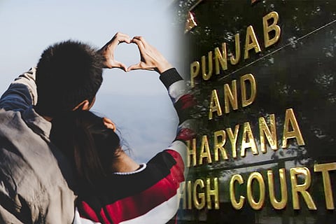 punjab hc