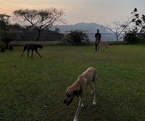 rahul and his pets for bwe