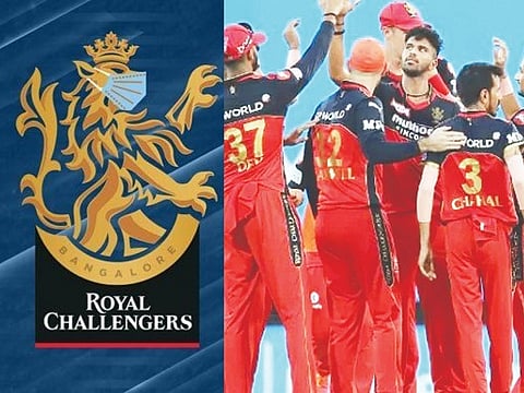 rcb web