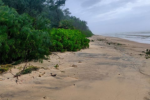 sea