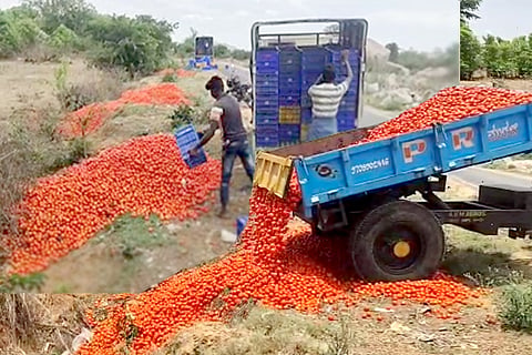 tomato