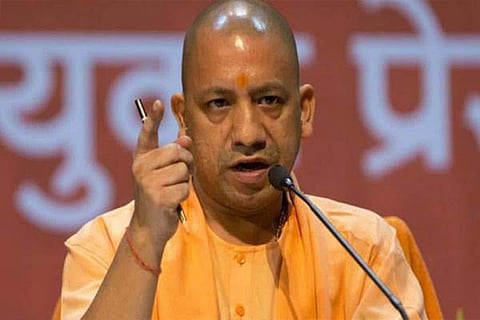 yogi