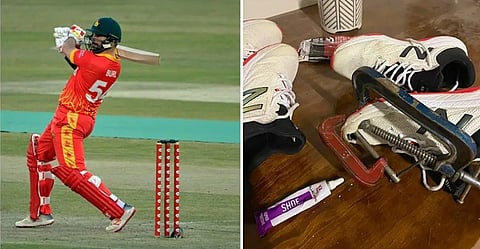 zim and puma for web