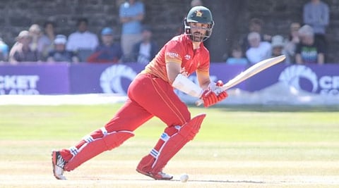 zimbabwe allrounder for web