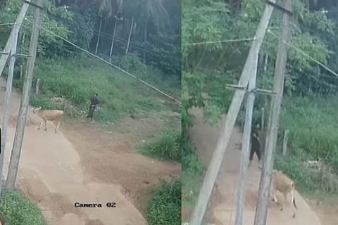 ಉಡುಪಿ