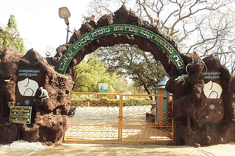 18-gdg-1 binkadakatti zoo