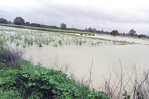18manju2
