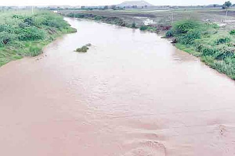 19-nlg-1 rain