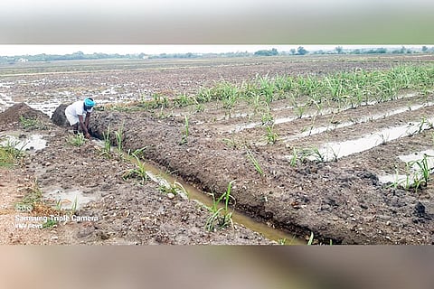 27062021 Siraguppa rain formars agricultural activity