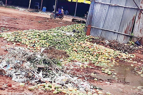 28 Srinivaspur 1