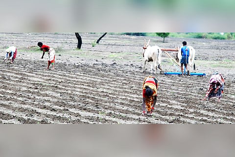 28062021 Manvi agricultural activity