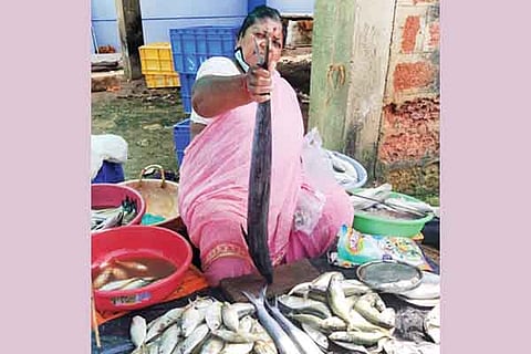 6KWR1A-Fishaman Lady