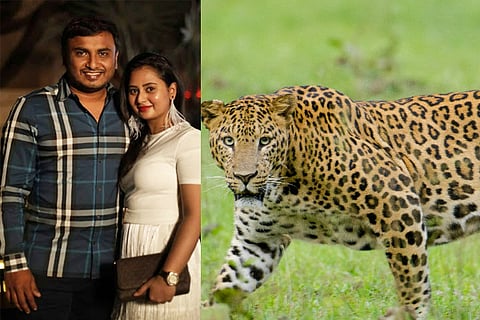 Amulya - Jagadish Chandra - Leopard - Final