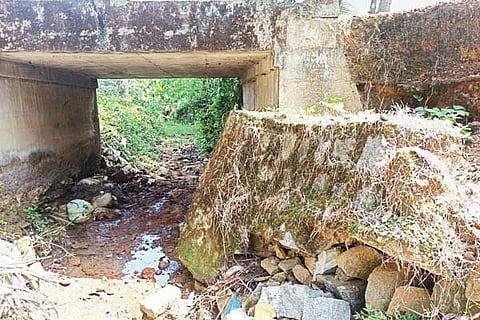 Bridge