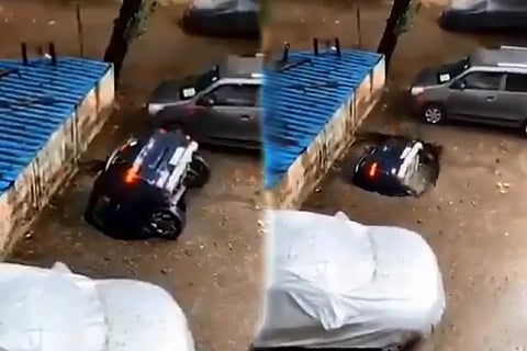 Car Swallow