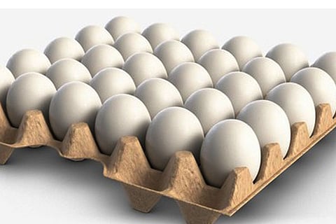 Egg