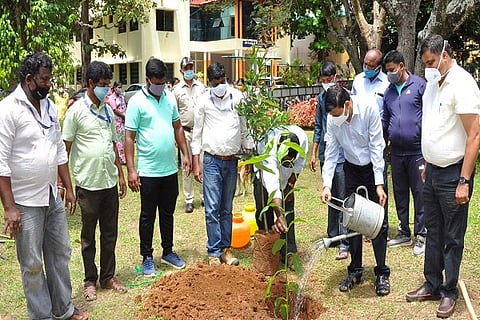 Environment day celebration
