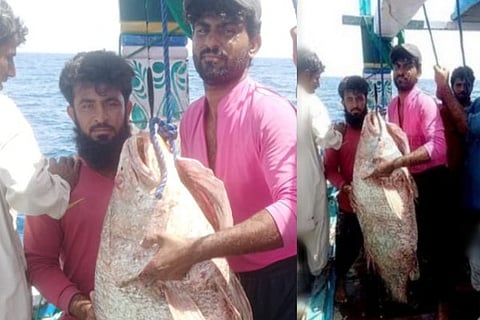 Pak Fisher Man
